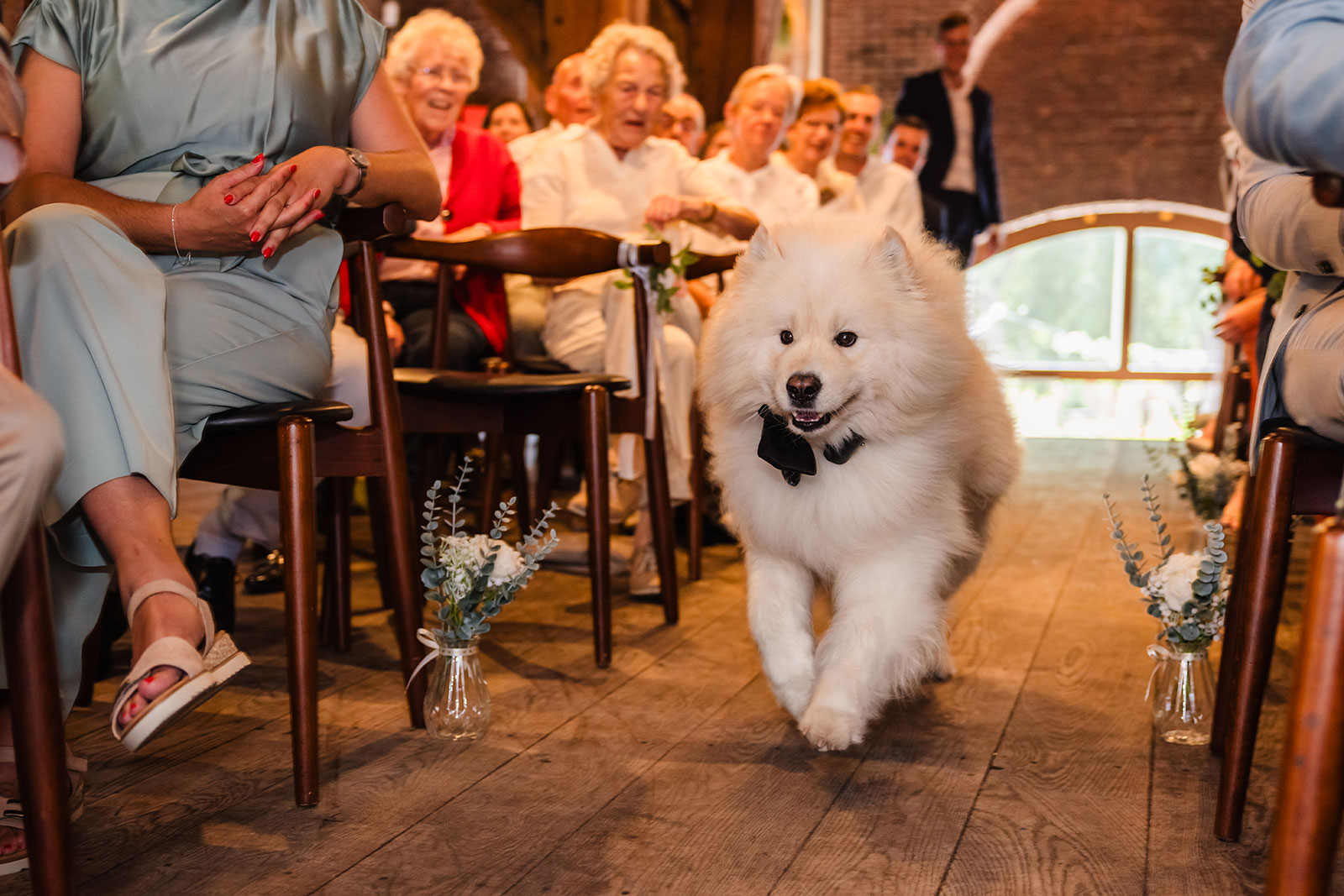Hond brengt ringen bruiloft